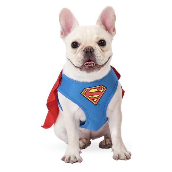 Marvel Other - Marvel Comic’s Dog Costume Superman Dog Costume Red Blue Size Medium